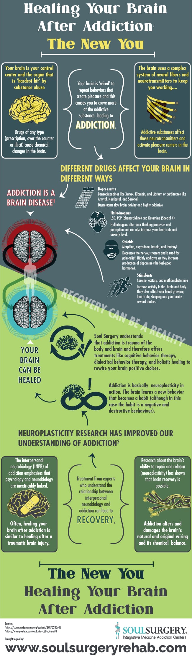 Healing Your Brain After Addiction: The New You 